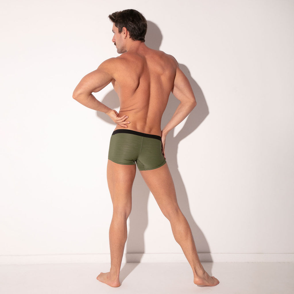Boxer zebra kaki