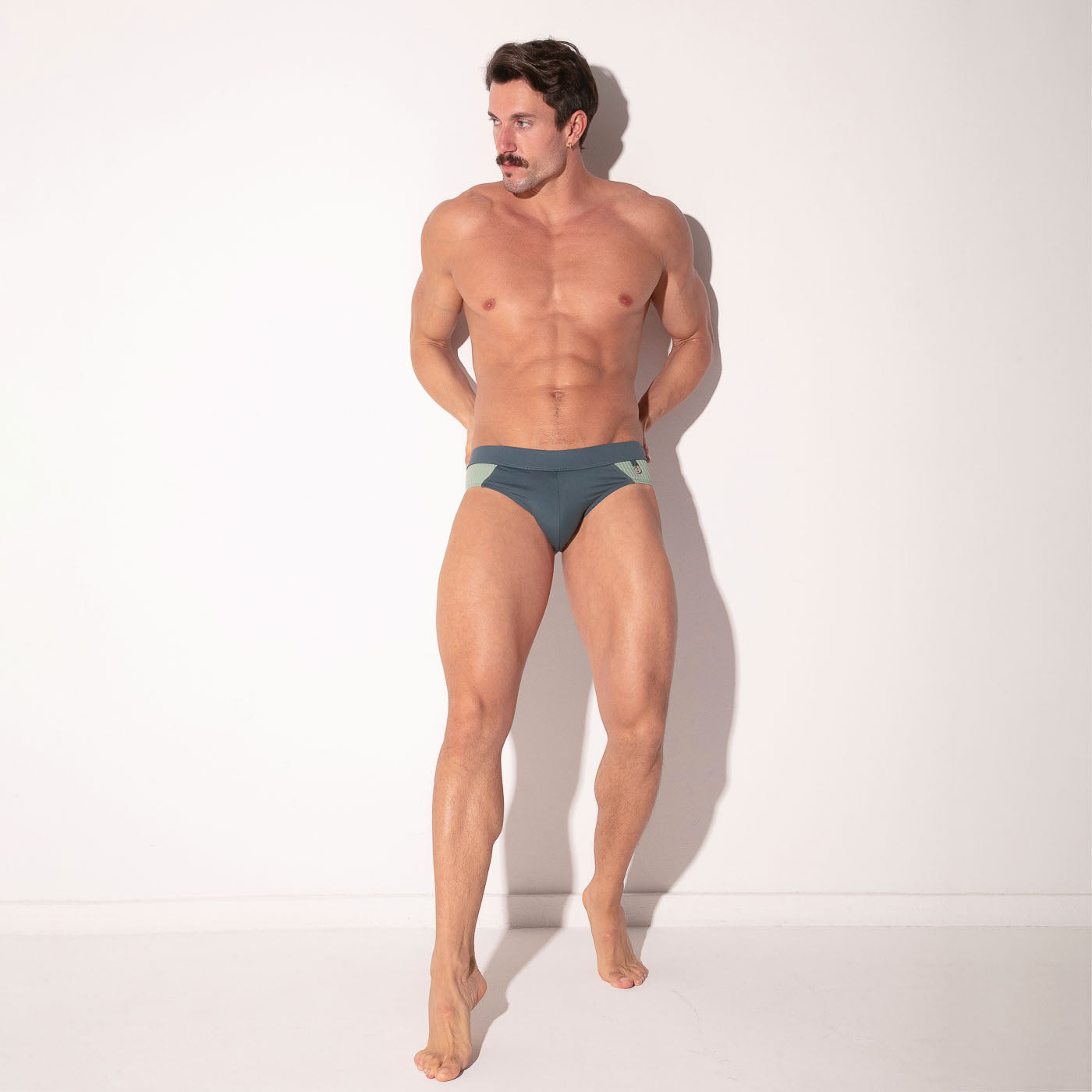 san francisco swim brief grey
