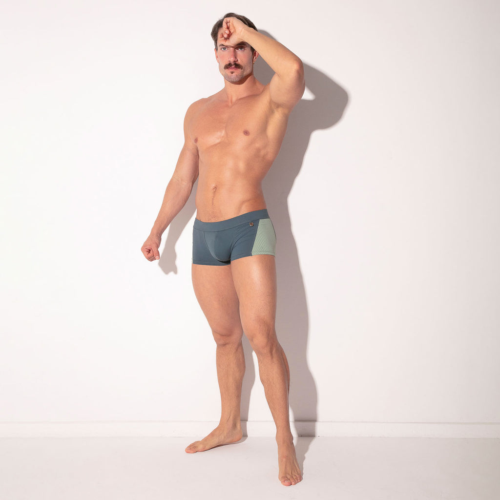 boxer de bain san francisco gris